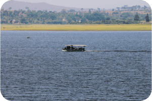 Boat Safari