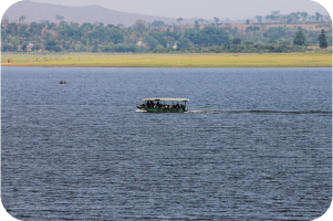 Boat Safari